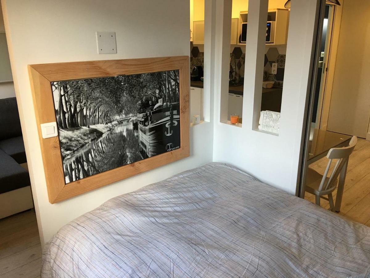 Lespinet Apartment Тулуза Екстериор снимка